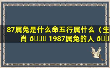 87属兔是什么命五行属什么（生肖 🕊 1987属兔的人 🌹 五行属什么）